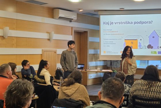 Prvo usposabljanje za MDT - 1. modul - osnove DI.