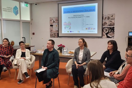 Predstavitev MDT Zavoda Risa iz Slovenj Gradca na srečanju deležnikov iz regije