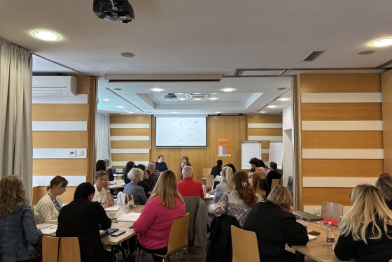 izobraževanje multidisciplinarnih timov, Organizacijski vidik