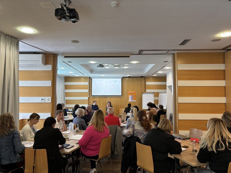 izobraževanje multidisciplinarnih timov, Organizacijski vidik