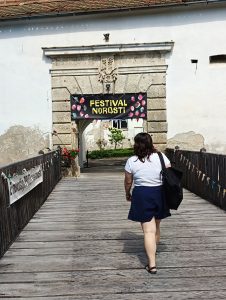 Festival norosti 2026: Vhod na prizorišče.