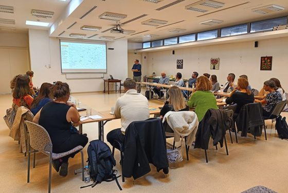 MDT Zveza Sonček, posvet