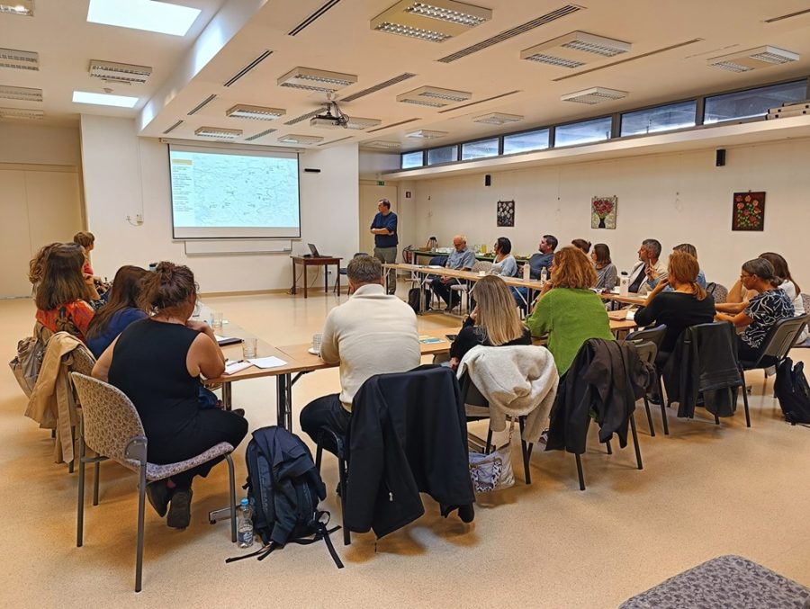 MDT Zveza Sonček, posvet
